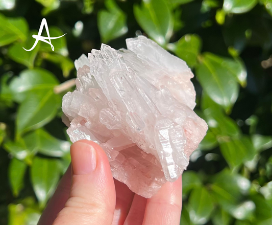 Pink Lemurian Crystal Quartz Cluster